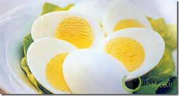 telur