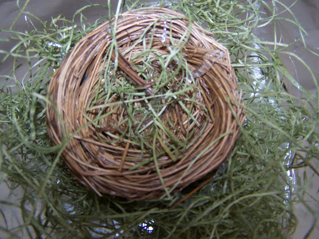 moss and a dollar store nest on a spring wreath