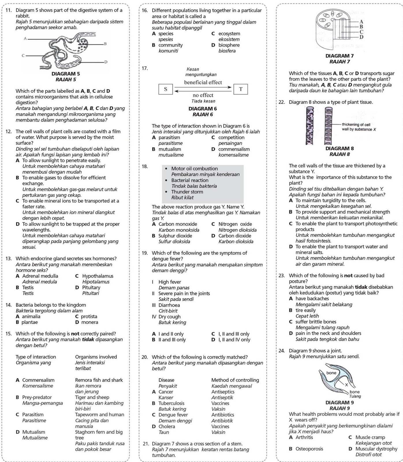 Soalan Biologi Tingkatan 4 Bab 2 Kertas 2 - Selangor l