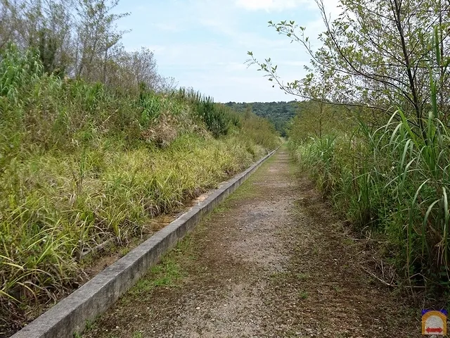 TAIHO Dam 8