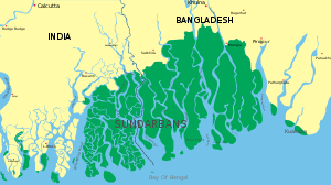 Sundarban delta formed