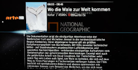 https://www.arte.tv/de/videos/053962-000-A/wo-die-wale-zur-welt-kommen/