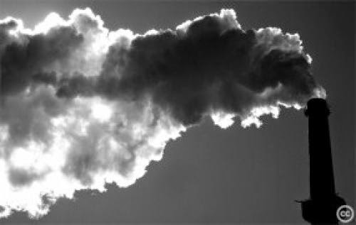 Iris Cheng The Global Water Crisis The Elephant In The Room
