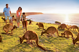 Your Australian Holiday must include Kangaroo Island!