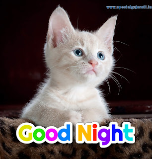 Good Night images hd Download