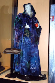 Enchanted Narissa Hag costume