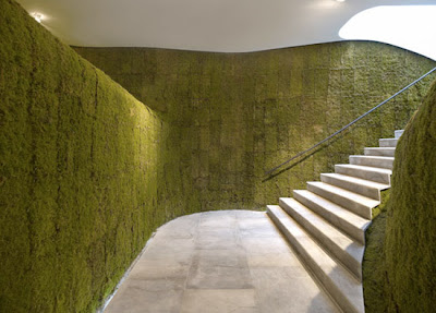 Green walls Picture