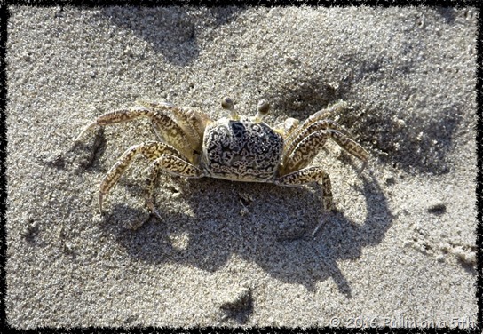 thumb_IMG_6844_1024_Fotor