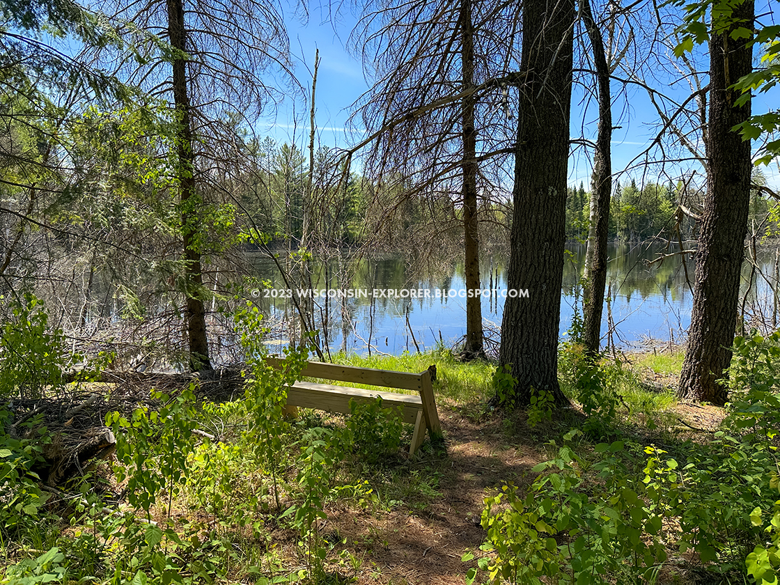 bench and view of pond beneath bare pine