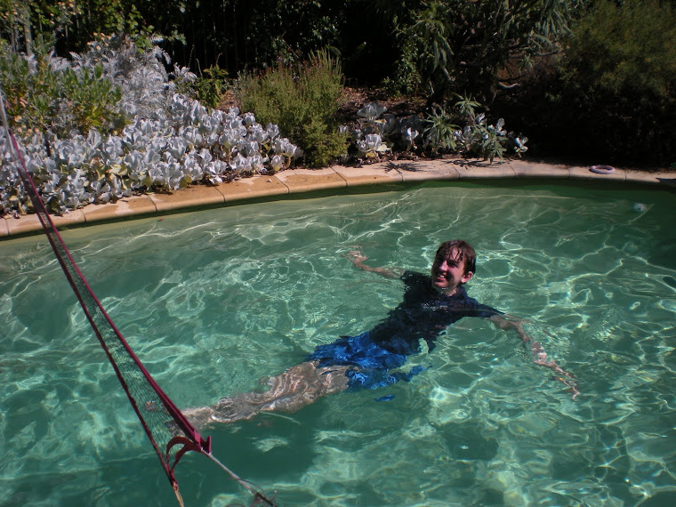 The pool before we began