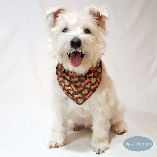  Yummy Doggie Treats and Biscuits Dog Bandana