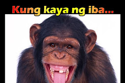 animal jokes tagalog Pinoy q & a jokes