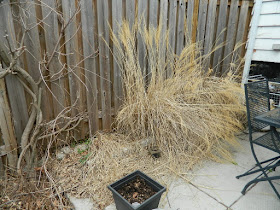 Scarborough Birch Cliff Backyard Spring Garden Cleanup Before by Paul Jung Gardening Services a Toronto Gardening Company