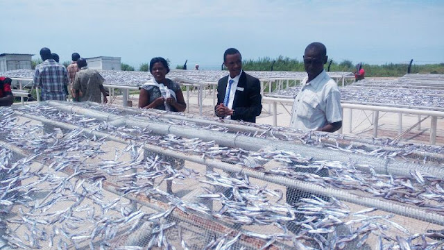 SAMAKI NA DAGAA WA ZIWA TANGANYIKA KIGOMA KUPEWA THAMANI