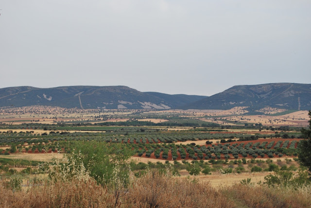 Vistas del Parque Natural de Cabañeros y los Quintos de Mora