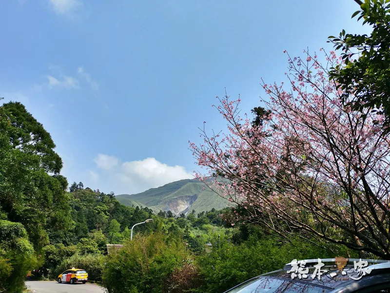 竹子湖炒青菜｜陽明山頂湖餐廳｜備停車場近頂湖海芋步道｜白斬雞地瓜湯好吃