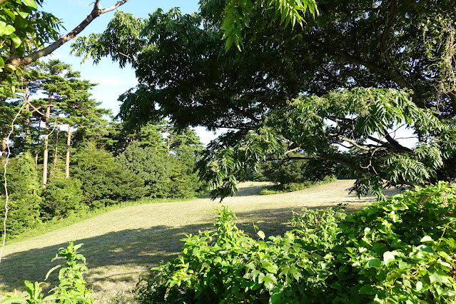 鳥取県西伯郡伯耆町小林　だいせん牧場