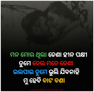 Odia Shayari- Top 10+ Odia Love Shayari Collection 2021