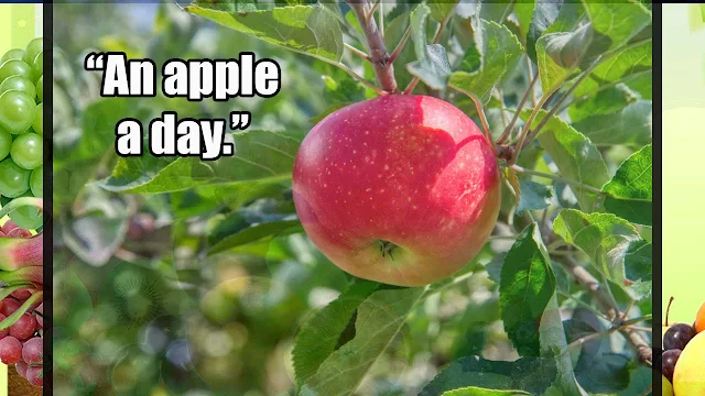 Quotes on Apple