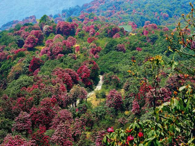 West Sikkim tourist places, Sikkim images 