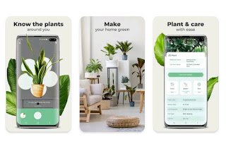 Blossom Plant Identification App Download.