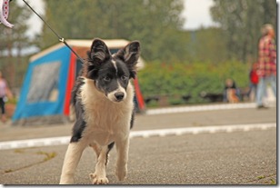 Spesialen 2011_210811_2568
