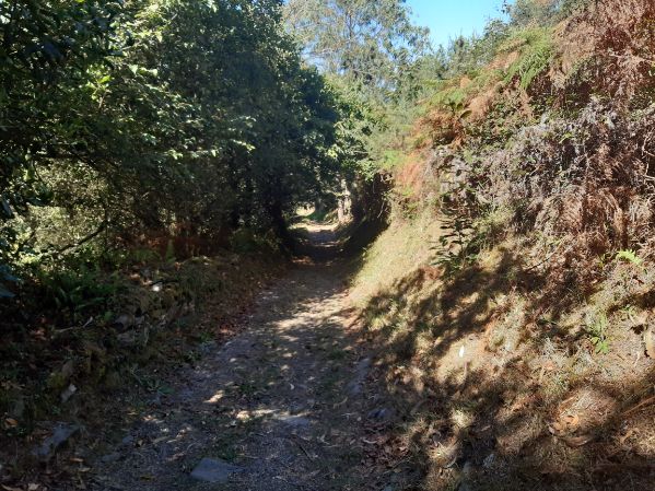 Sendero de bajada a la playa