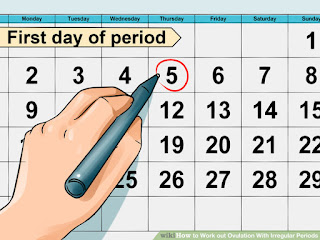Method Of Calculating The Fertile Time