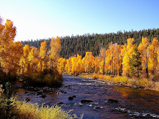 Autumn-River-Wallpapers