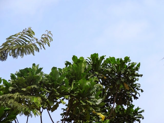 Libreville soleil