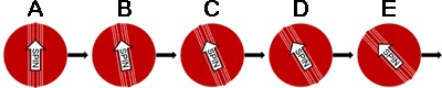 Seam relative to motion