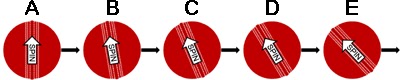 Seam relative to motion