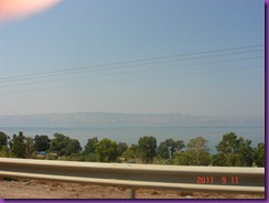 DSC01382