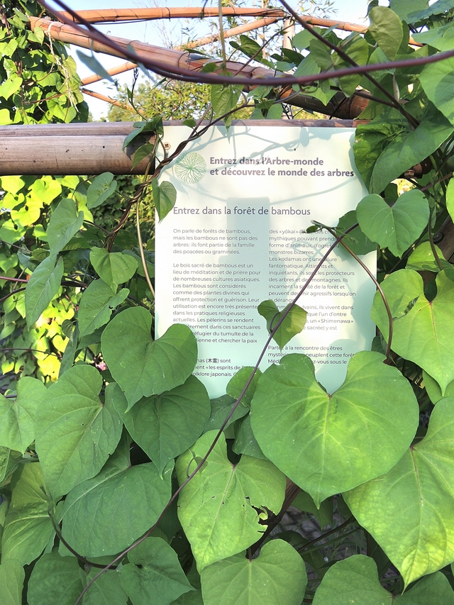 Metz: rust en schoonheid in de  "jardin d'été éphémère - l'arbre du monde"