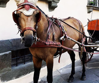 Cavallo di Marika