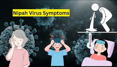 فيروس نيباه Nipah virus