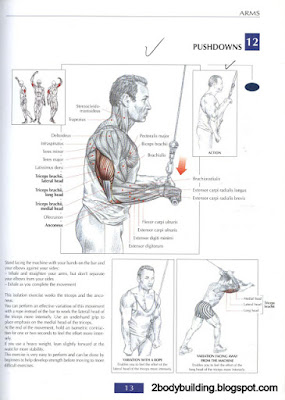 tricep pushdowns