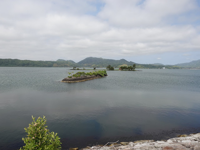 大根島中海堤防　龍宮神の鳥居（京島）