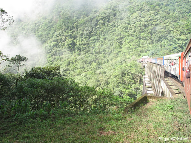 Passeio de trem pela Serra do Mar paranaense