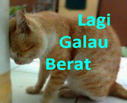 Gambar Galau Lucu Gokil Banget