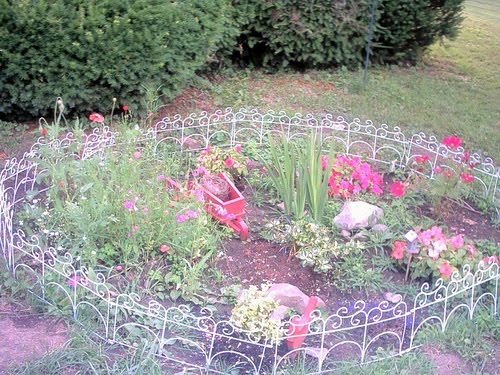 grow a small flower garden