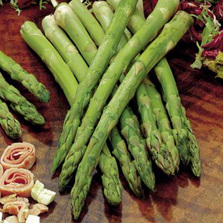 Asparagus