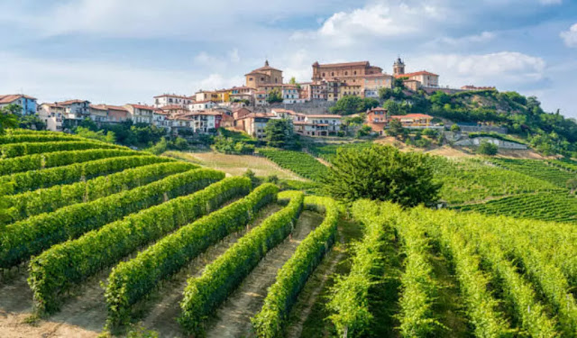 Discovering the Charm of Piedmont: Best Places to Visit in Italy's Wine Country