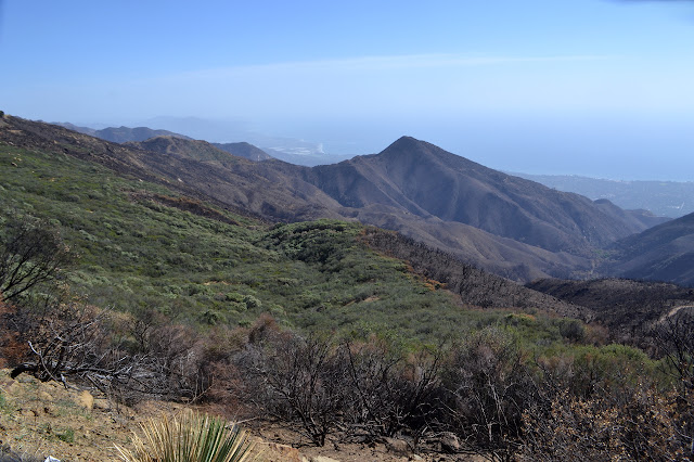 Montecito Peak and the trees around it