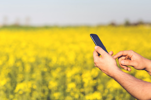 ręce trzymające telefon