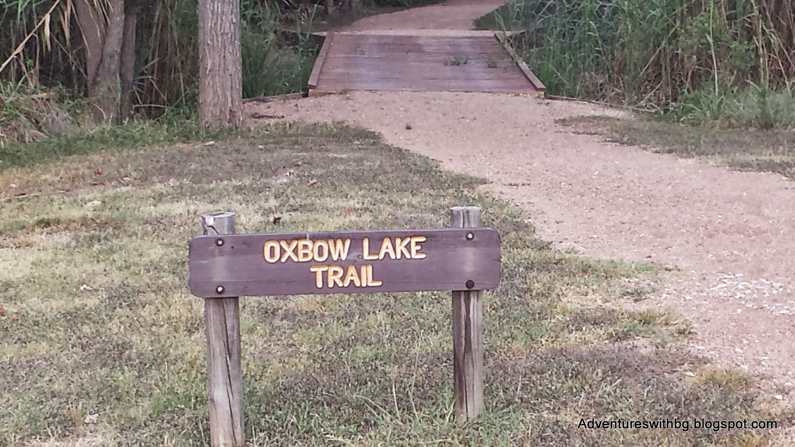 The Oxbow Lake Trailhead at Palmetto State Park