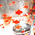 Goldfish Scooping - Japanese Gold Fish