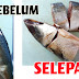 Cara Menyiang Ikan Sardin