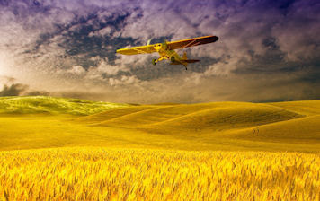 Avioneta Cessna sobre los campos de trigo - Plane