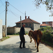 Gjakova to Prizren